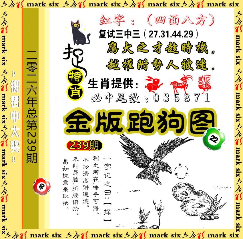 239金版跑狗