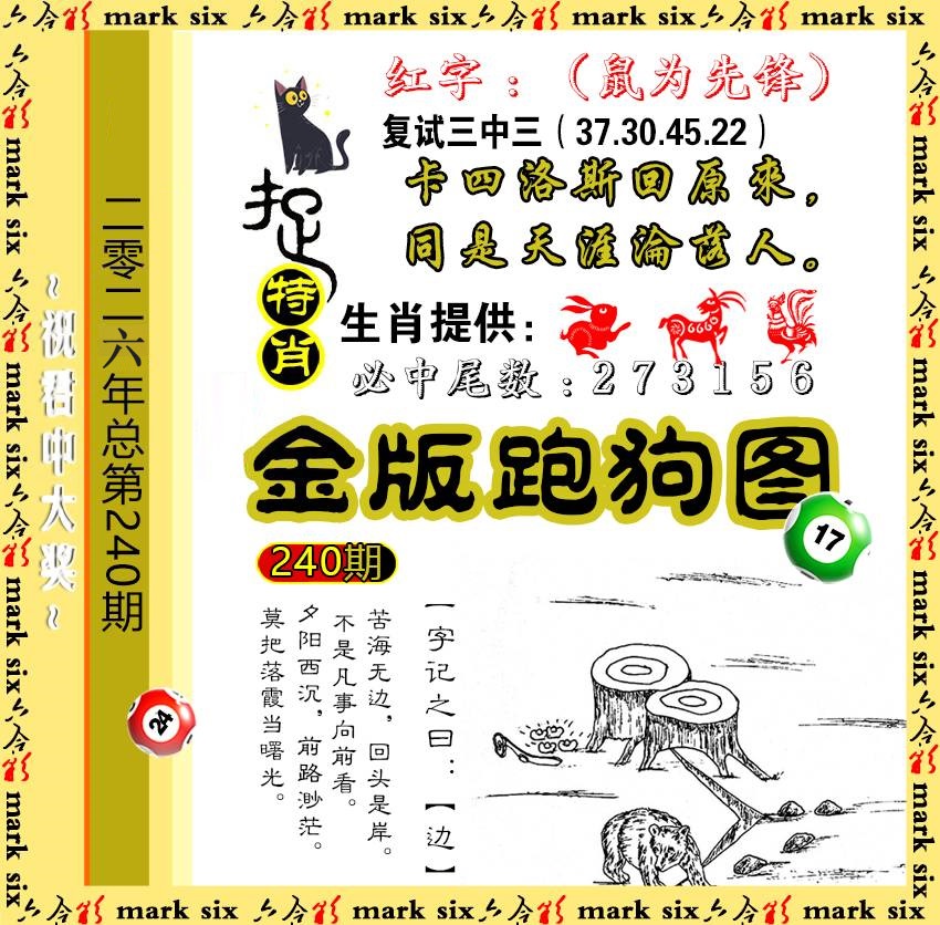 240金版跑狗