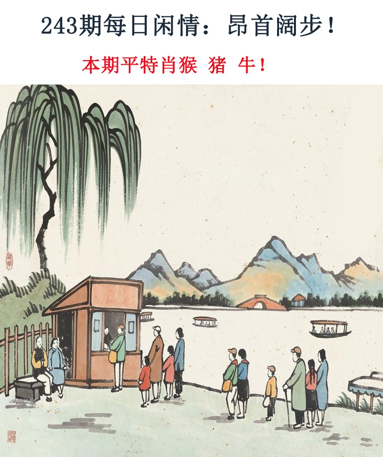 243期每日闲情