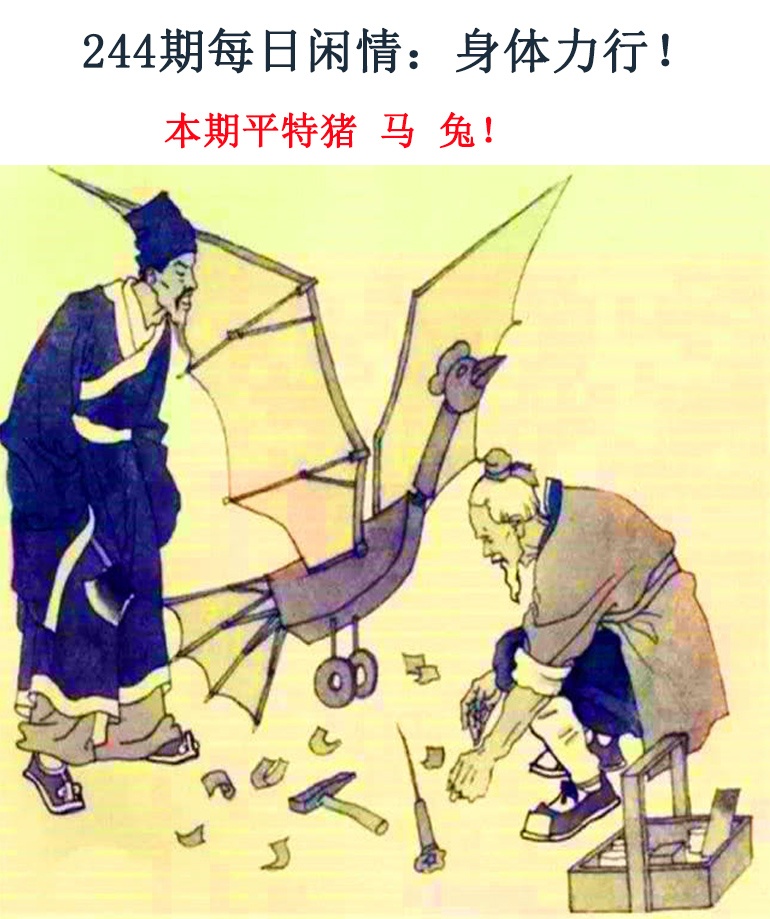 244期每日闲情