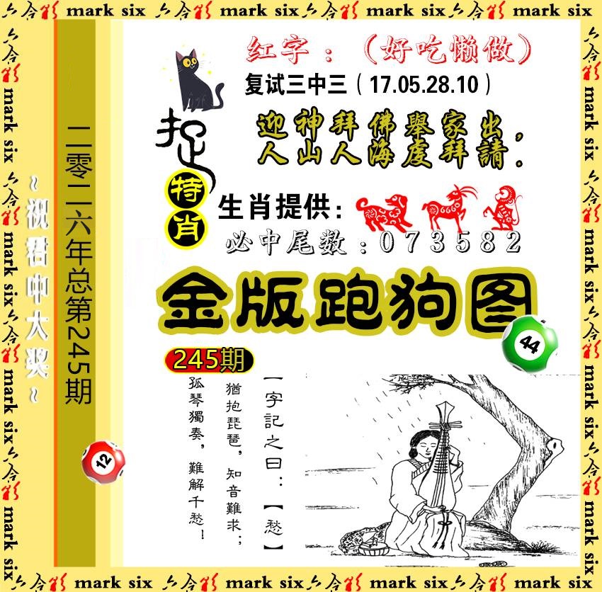 245金版跑狗