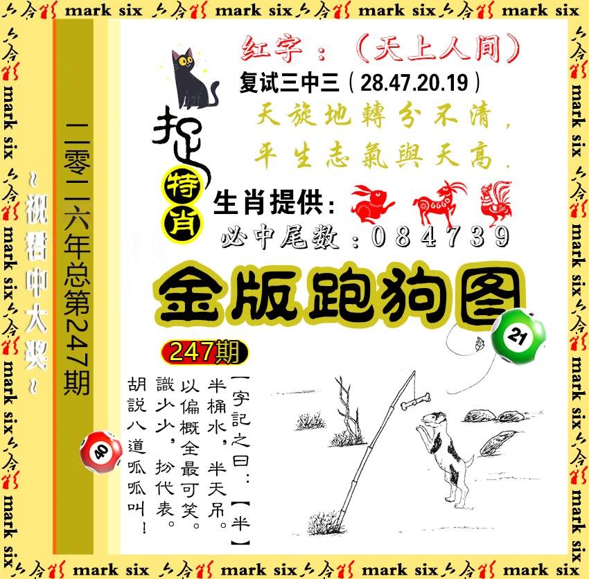 247金版跑狗