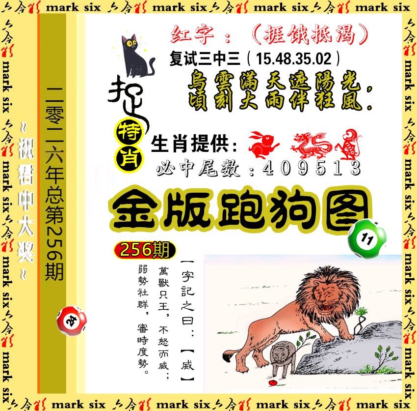 256金版跑狗