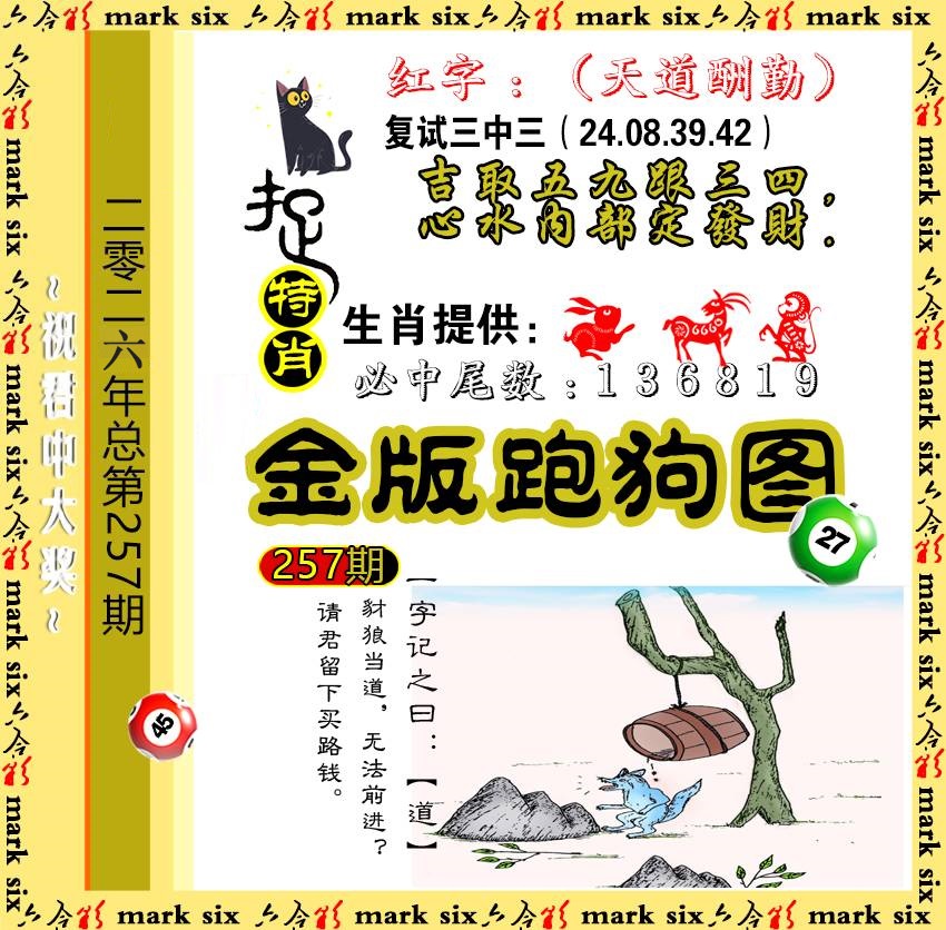 257金版跑狗