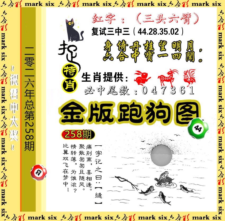 258金版跑狗