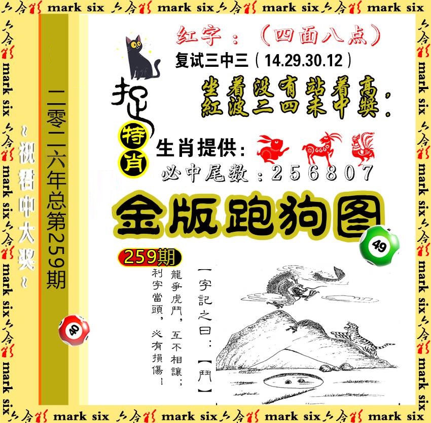 259金版跑狗