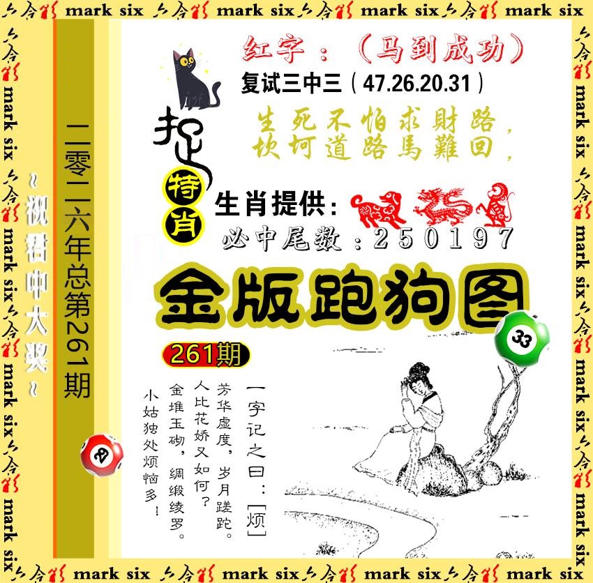 261金版跑狗
