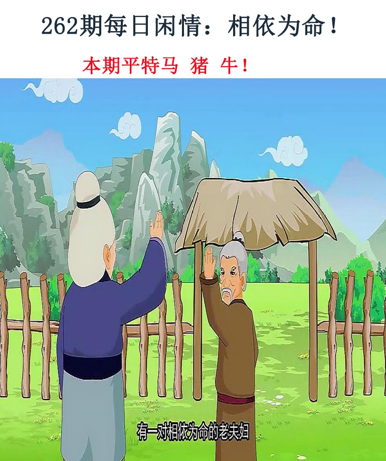 262期每日闲情