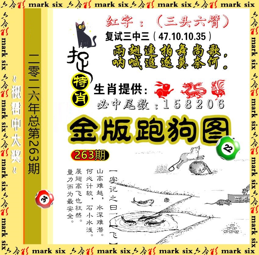 263金版跑狗