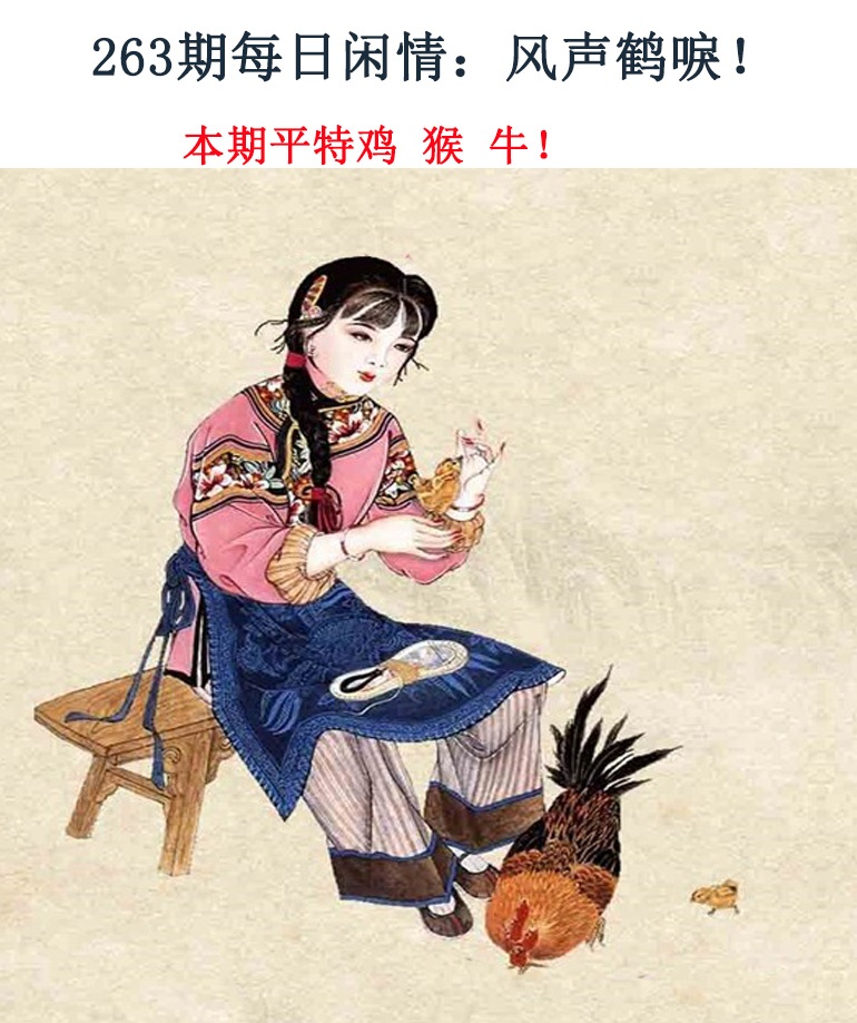 263期每日闲情